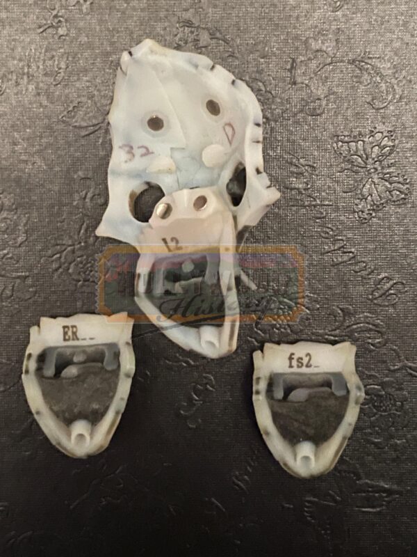 Other Mother's 3rd Form Face 2